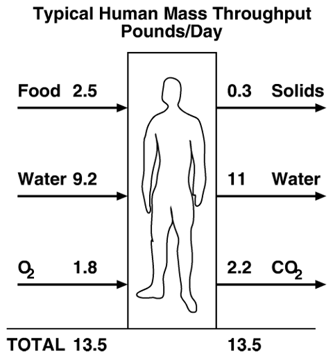 Human mass throughput