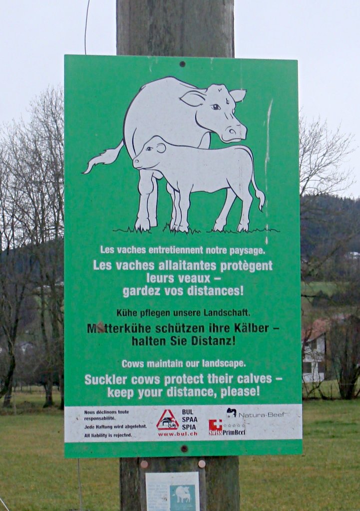 http://www.fourmilab.ch/fourmilog/archives/2008/06/29/killer_cows.jpg