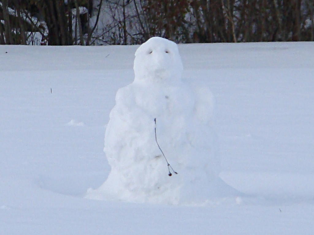 http://www.fourmilab.ch/fourmilog/archives/2008/11/24/snowman.jpg