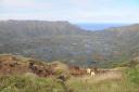 Rano Kau